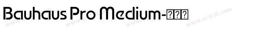 Bauhaus Pro Medium字体转换